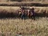 योजनाओं की पोल खोलता प्रसूता की मौत 