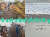 वन विभाग द्वारा पानी वाले पक्षियों की गिनती शुरू
