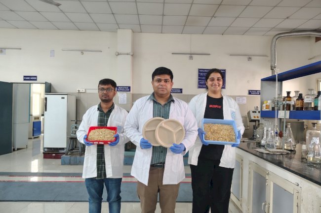 आईआईटी रूड़की ने गेहूं के भूसे से बनाए परिवेश अनुकू पत्तल