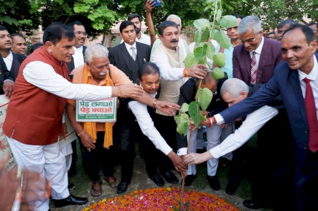 उच्च न्यायालय में दिखा प्रकृति प्रेम लगाए गए हरिशंकरी पौधे